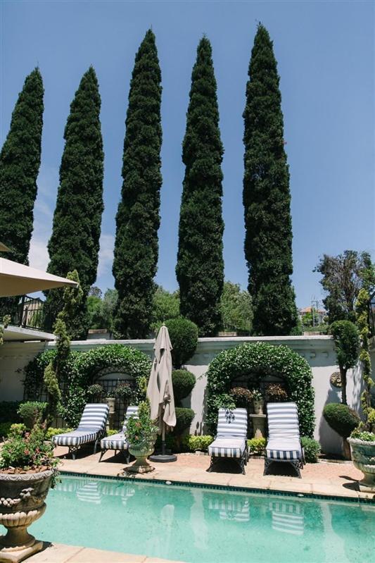 Rietvalleirand Pheasant Hill Bed And Breakfast מראה חיצוני תמונה