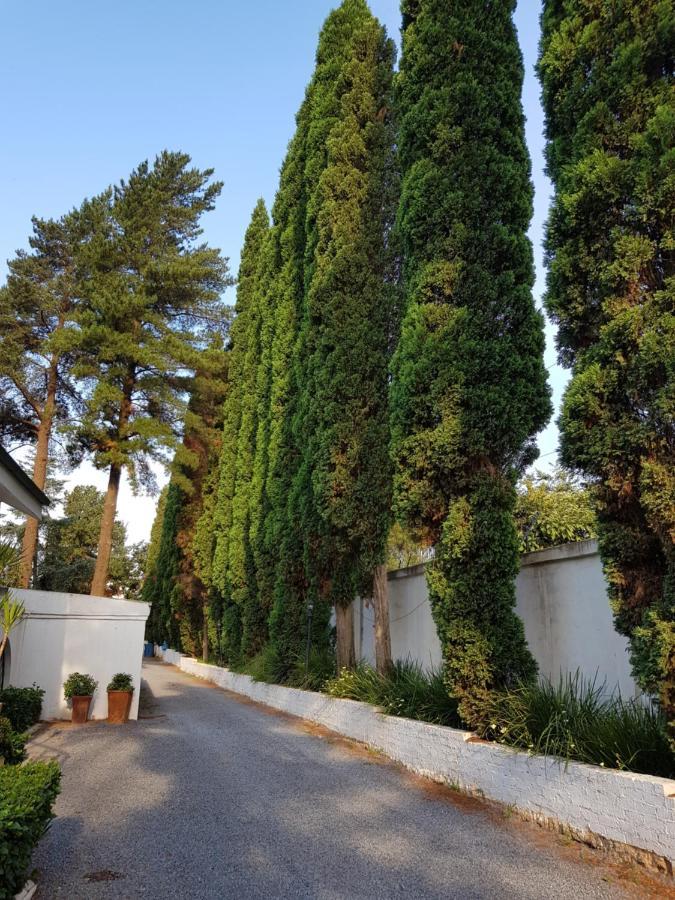Rietvalleirand Pheasant Hill Bed And Breakfast מראה חיצוני תמונה
