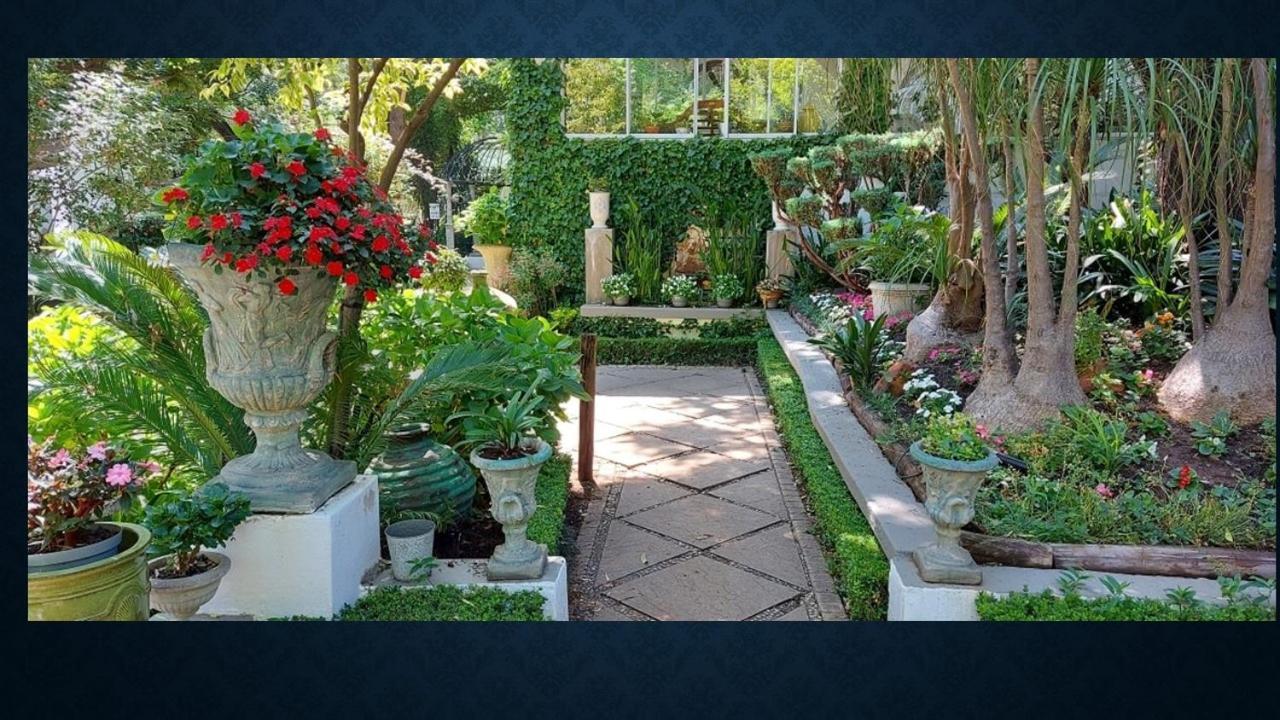Rietvalleirand Pheasant Hill Bed And Breakfast מראה חיצוני תמונה