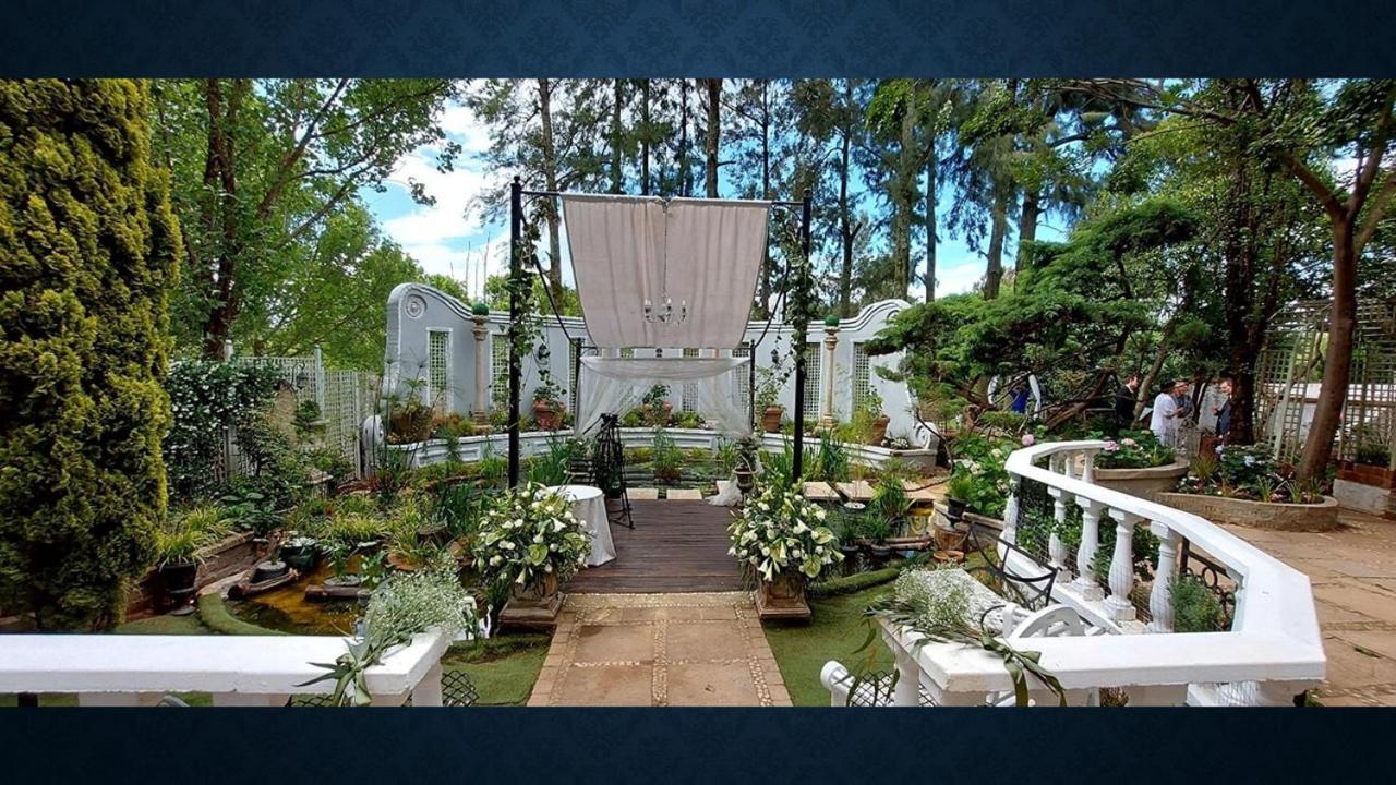 Rietvalleirand Pheasant Hill Bed And Breakfast מראה חיצוני תמונה
