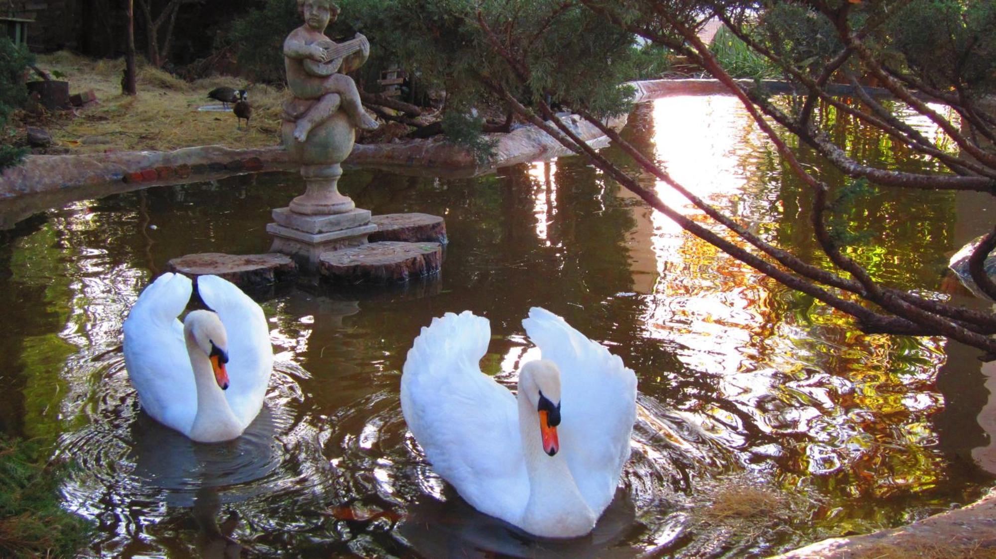 Rietvalleirand Pheasant Hill Bed And Breakfast מראה חיצוני תמונה